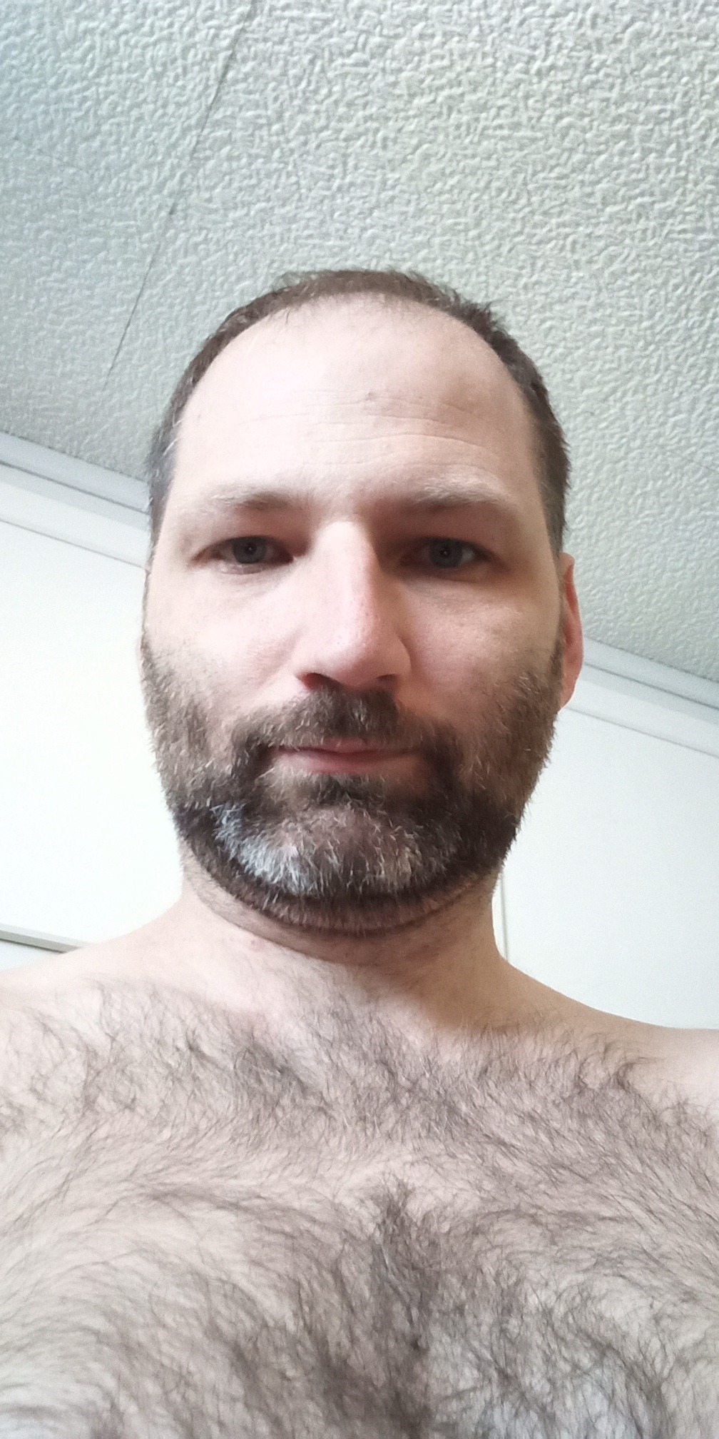 Célestin, 39 ans, Bréal-sous-Montfort